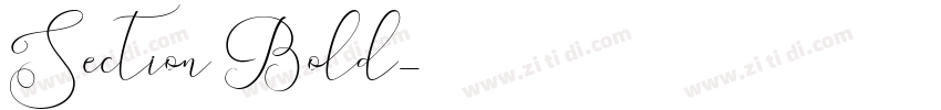 Section Bold字体转换
